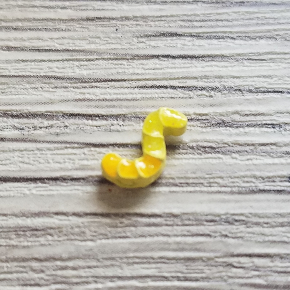 🦉HTF Gummy Worm Charm